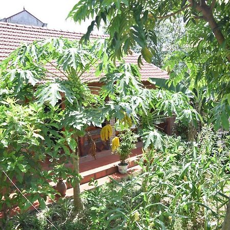 Van Long Family Homestay Ninh Binh Exterior foto
