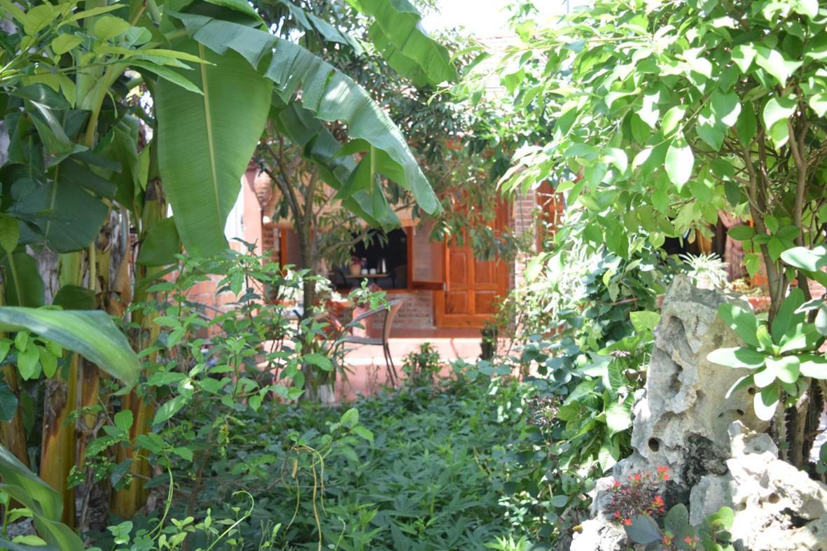 Van Long Family Homestay Ninh Binh Exterior foto
